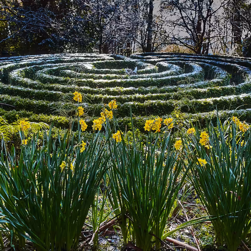 Learn from the Living Labyrinth | Web Class