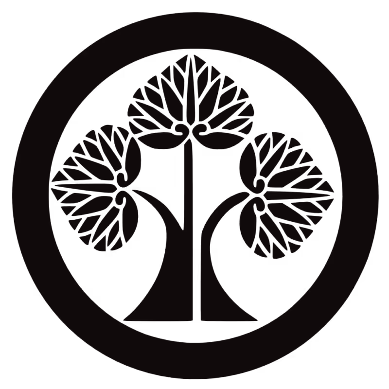 Claim your FREE 15-Min. Reiki Consultation with Bronwen NOW | Coaching