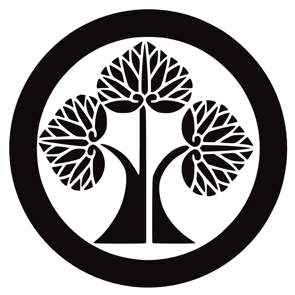 Claim your FREE 15-Min. Reiki Consultation with Bronwen NOW | Coaching