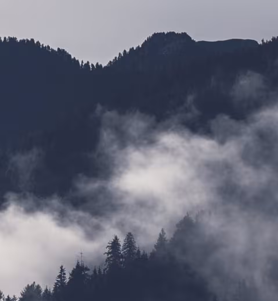 Experiencing the Healing Nature of Things with Reiki | Webclass