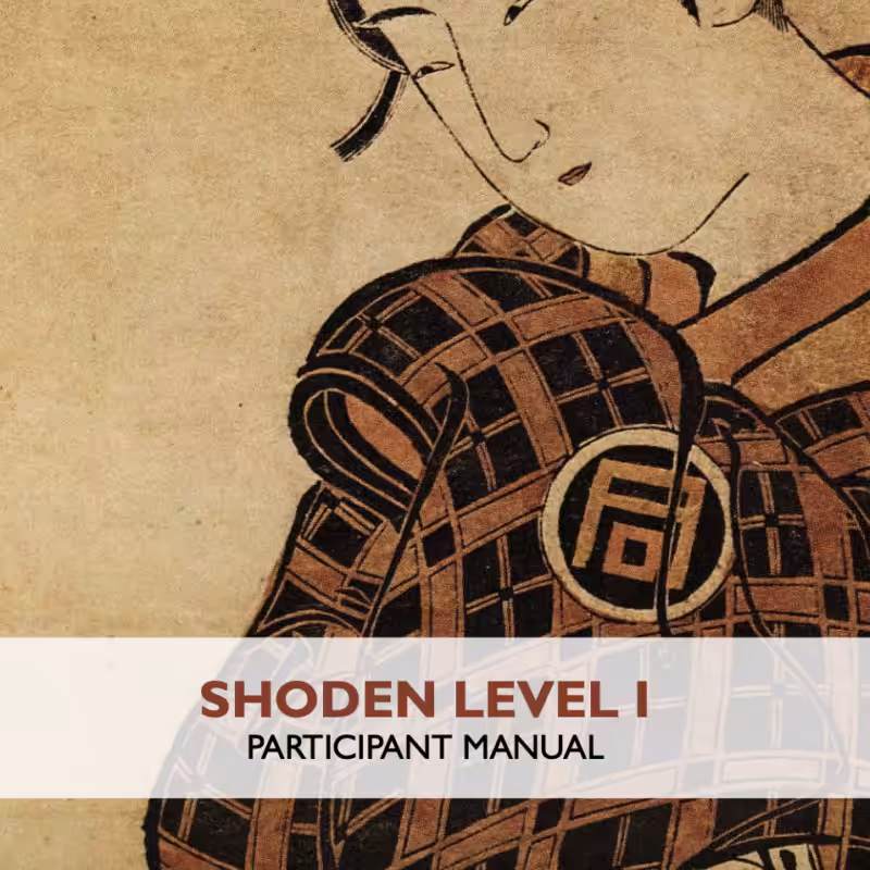 Shoden Reiki I - Get the most out of it | Webclass